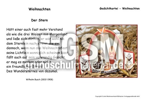 Stern-Busch.pdf